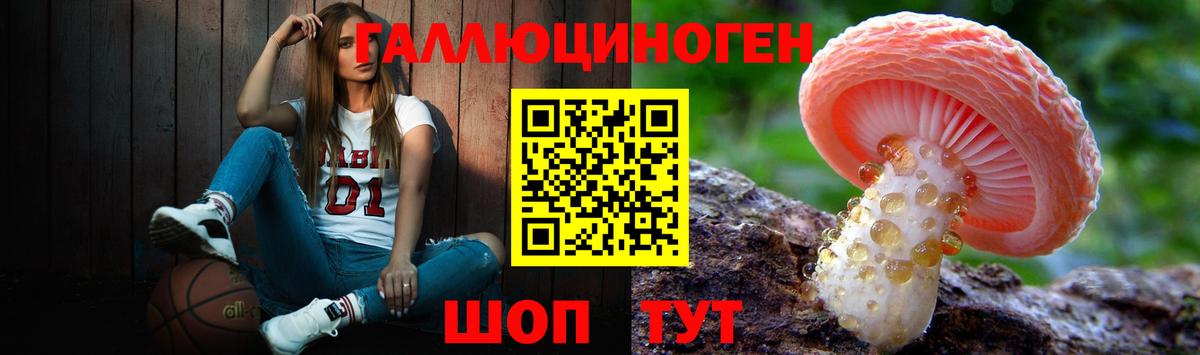 Алексин  Галлюциногенные грибы GOLDEN TEACHER  Вход с VPN  Галлюциногенные грибы мицелий 